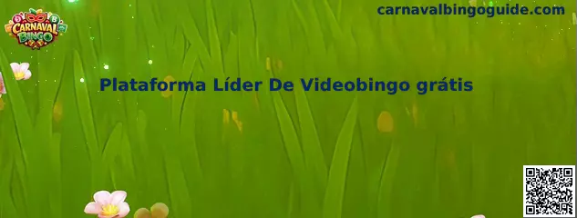 Guía sobre Plataforma Líder De Videobingo grátis de Carnaval Bingo